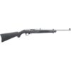 Ruger 10/22 Carbine .22 LR Rifle, Black/Stainless